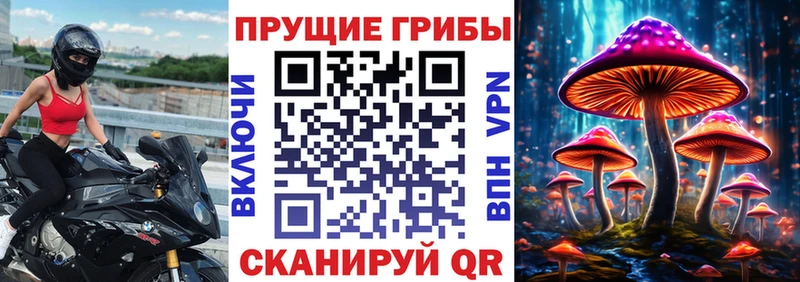 где купить наркоту  Тара  Галлюциногенные грибы мухоморы 