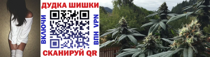 как найти закладки  Тара  Марихуана гибрид 